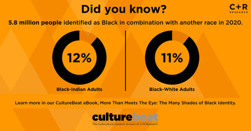 eBook-MORE-THAN-MEETS-THE-EYE-THE-MANY-SHADES-OF-BLACK-IDENTITY-SM-4-1200x627
